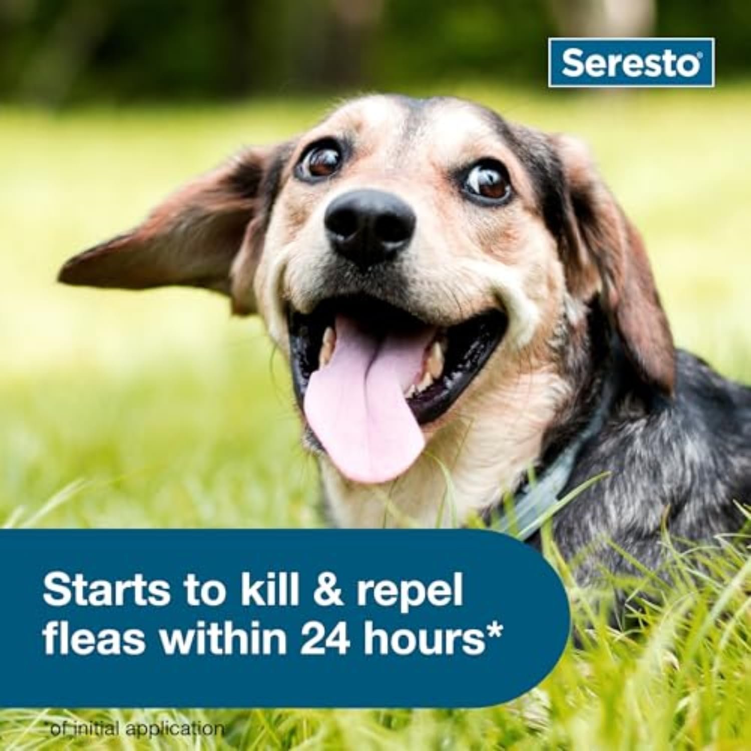 Seresto Small Dog Vet-Recommended Flea & Tick Treatment & Prevention Collar for Dogs Under 18 lbs. | 2 Pack - Image 2