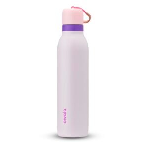 Owala FreeSip Twist Insulated Stainless Steel Water Bottle, 24oz – Pink/Purple